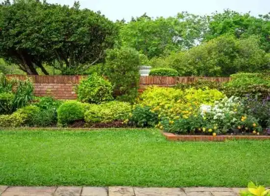 landscaping services Hayesville